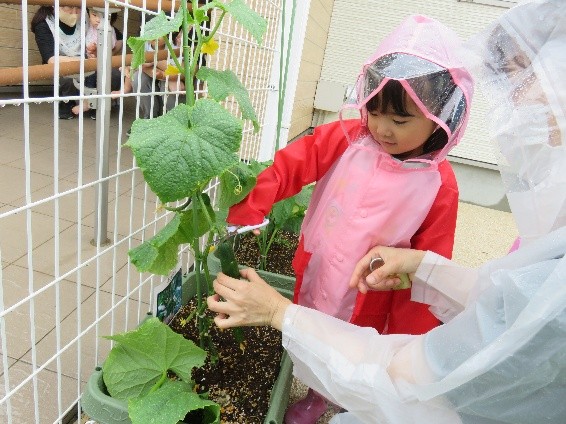 6月7月の様子です！