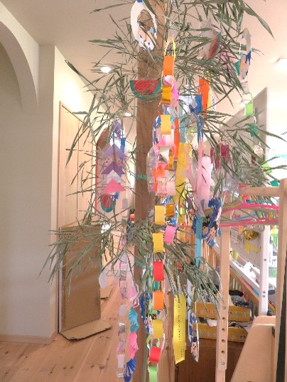 6月7月の様子です！