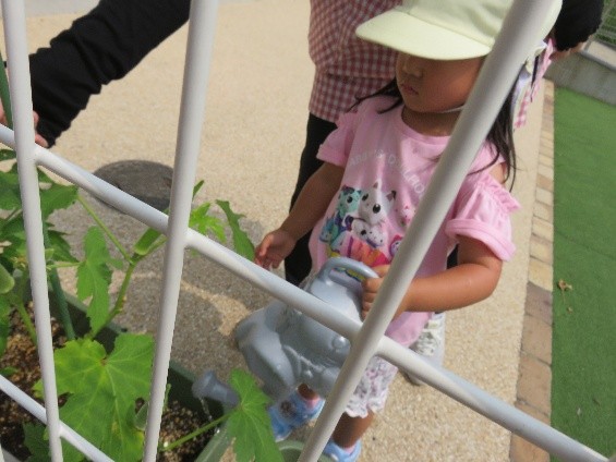6月7月の様子です！