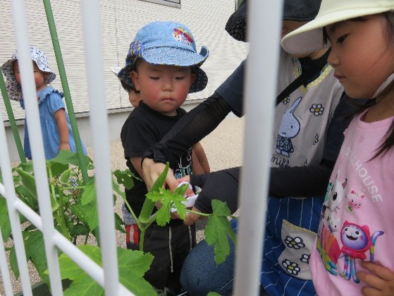 6月7月の様子です！
