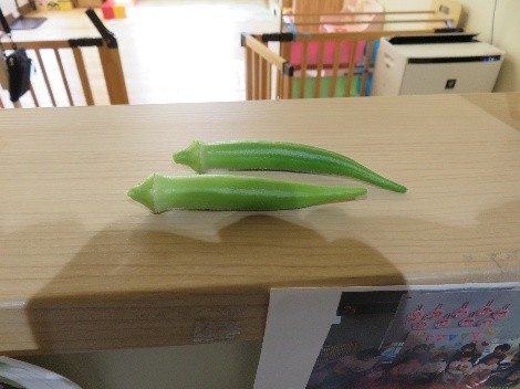 6月7月の様子です！