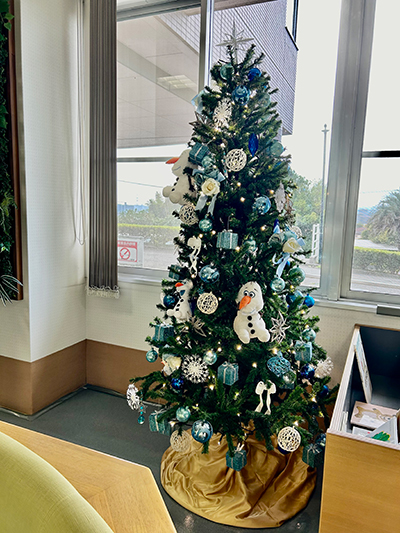クリスマスツリーを飾っています