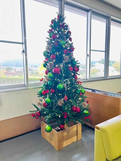 クリスマスツリーを飾っています
