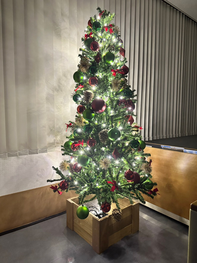 クリスマスツリーを飾っています